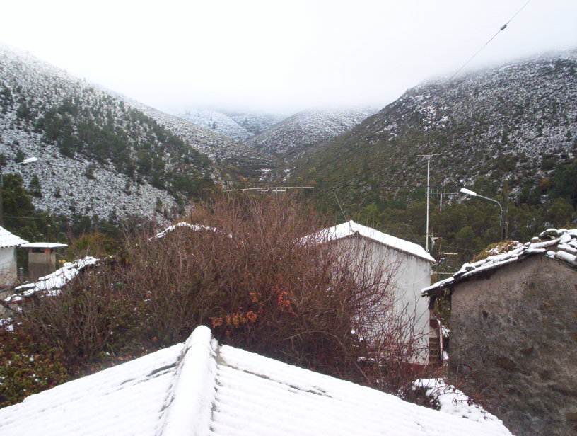 [neve30-11-2008.jpg]