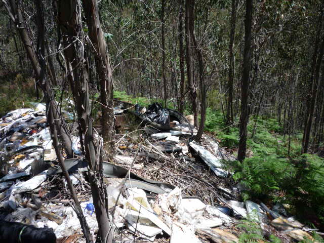 [atentado+ambiental1.jpg]