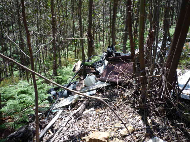 [atentado+ambiental2.jpg]