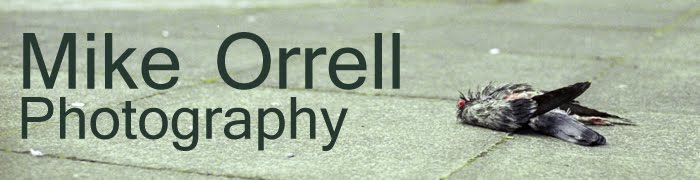 Mike Orrell Photography