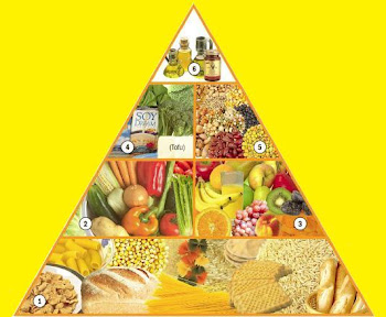 piramide nutricional vegetariana