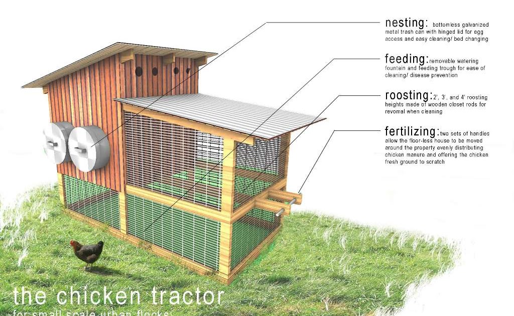 Laying hen coop design Learn how ~ Build small chicken coop