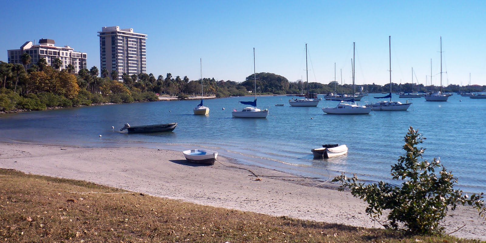 Southwest Florida Shoreline Studies Sarasota Bay Mooring Field