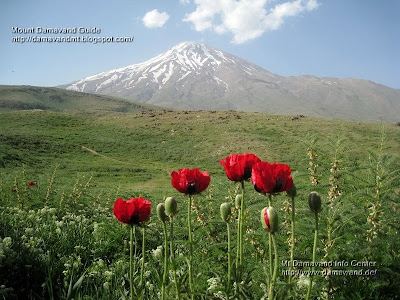 Mount Damawand Iran