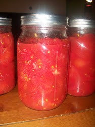 tomatoes stewed canning pressure ordinary end pints quarts minutes process both down