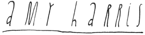 Amy Illustrates