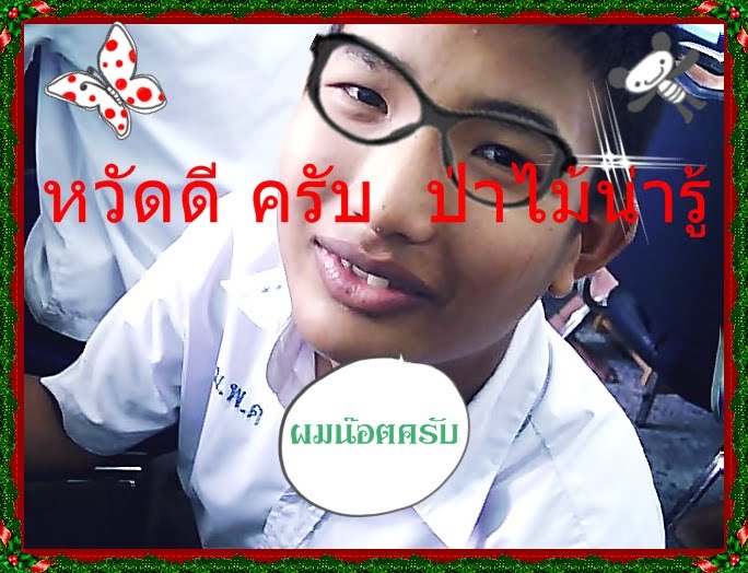 หวัด ดี  ครับ ป่าไม้ น่ารู้