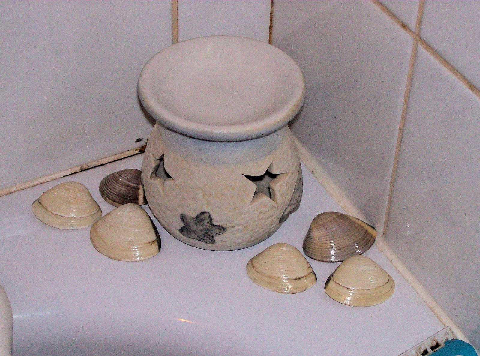 Snowraven's Cave Working day and how to recycle Clam shells,lol