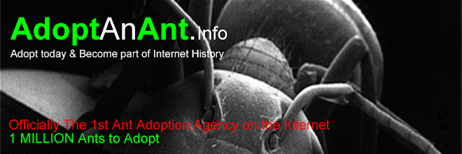 AdoptAnAnt.info