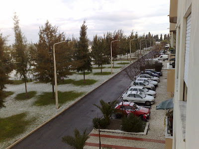 10012009559.jpg