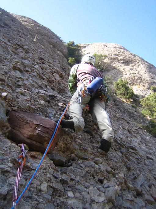 [IMG_5695_6_1.JPG]
