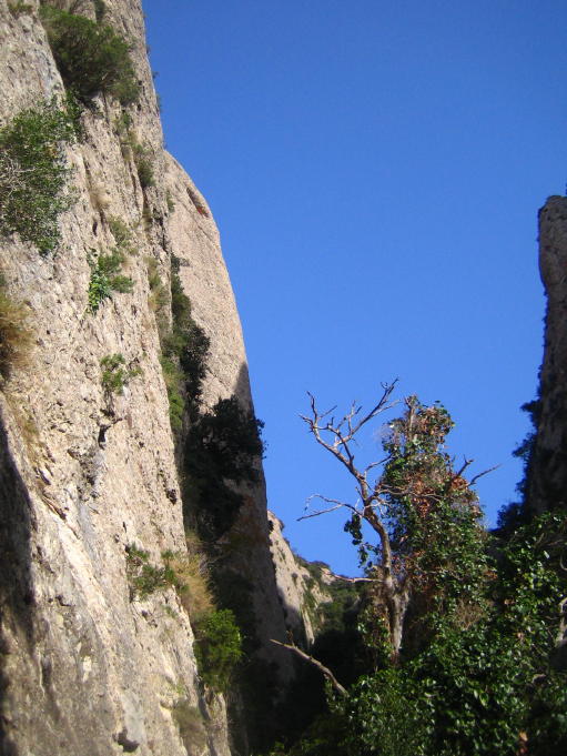 [IMG_5669_2_1.JPG]