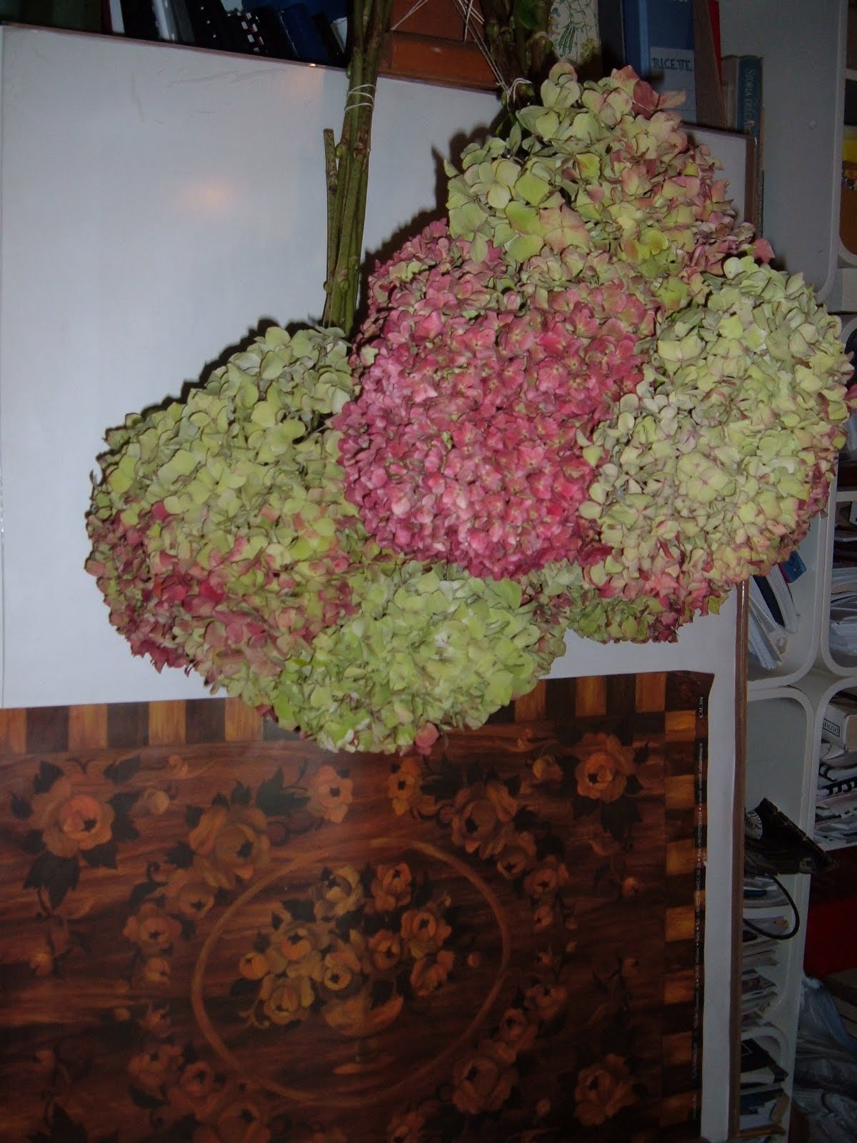 [DSCF0775.JPG]