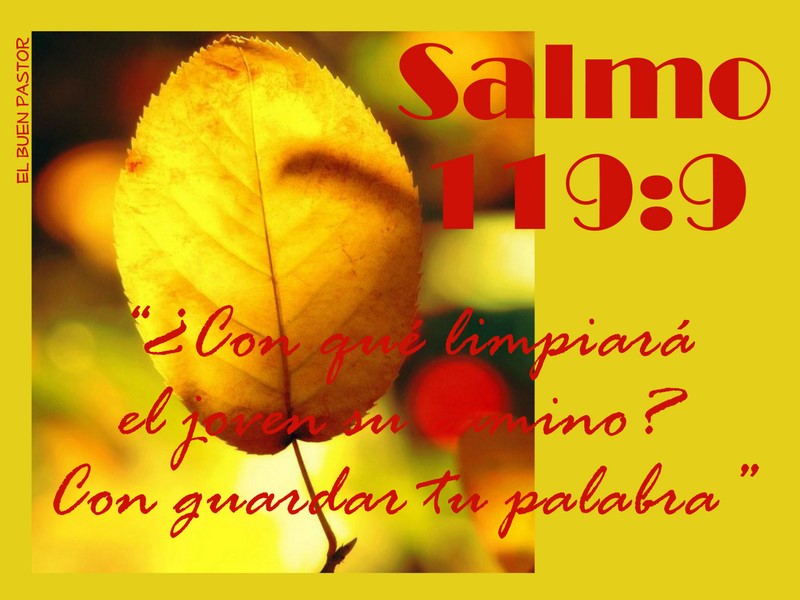 yo-soy-el-buen-pastor-salmo-119-9