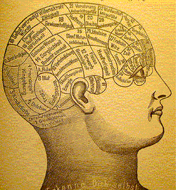 [phrenology.gif]