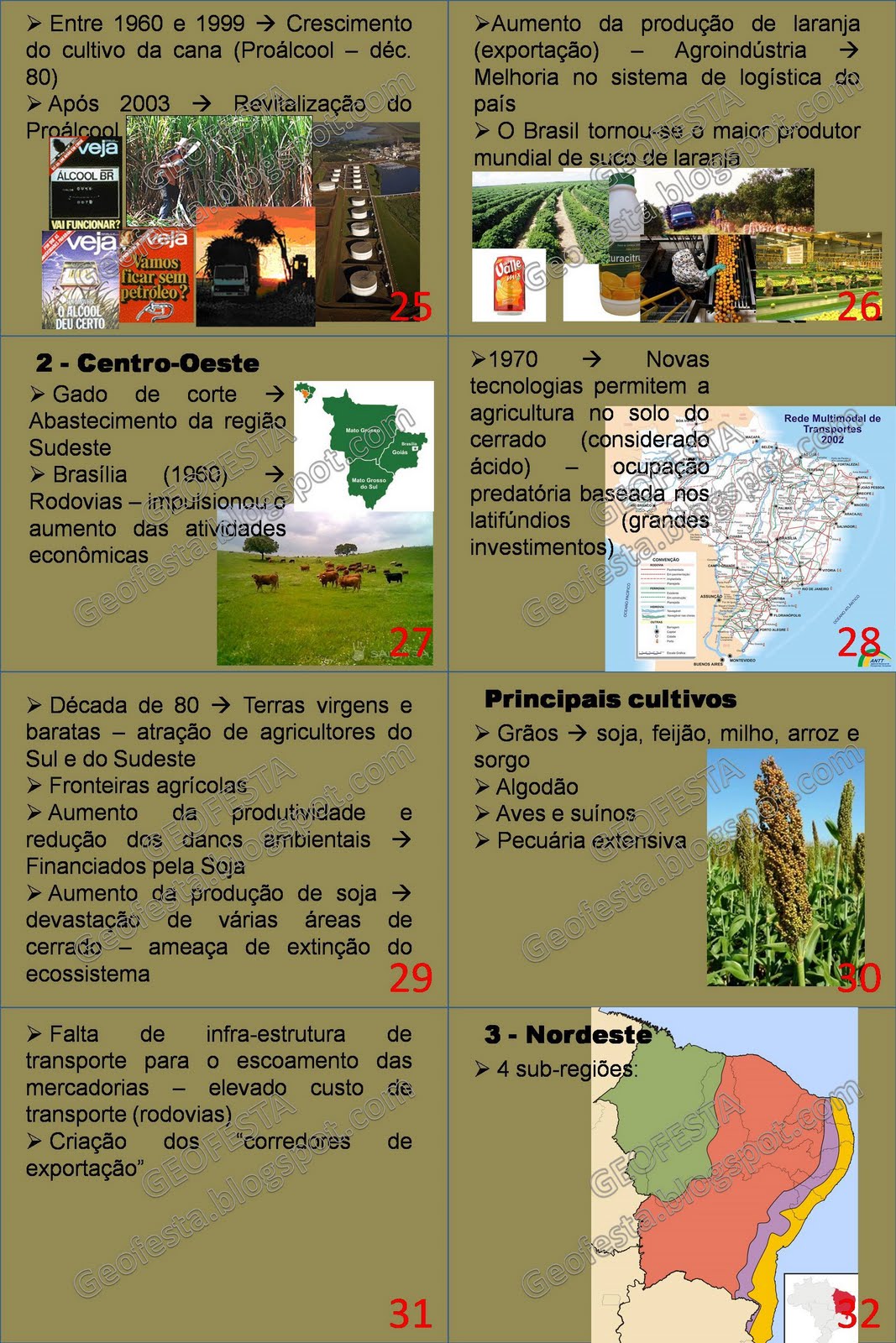 Geofesta: Atividades agropecuárias no Brasil