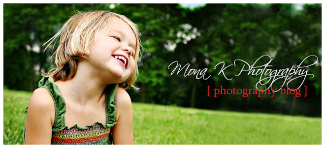 Mona K Photography Blog