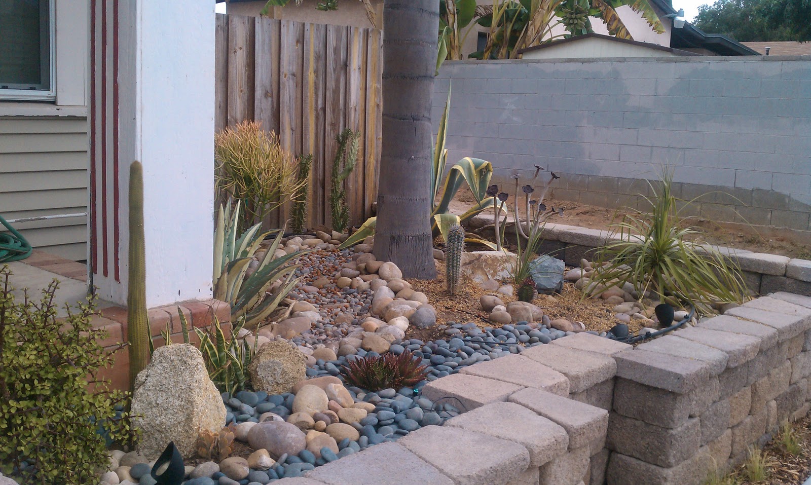 The Matt n Jef Show: Drought Tolerant Front Yard