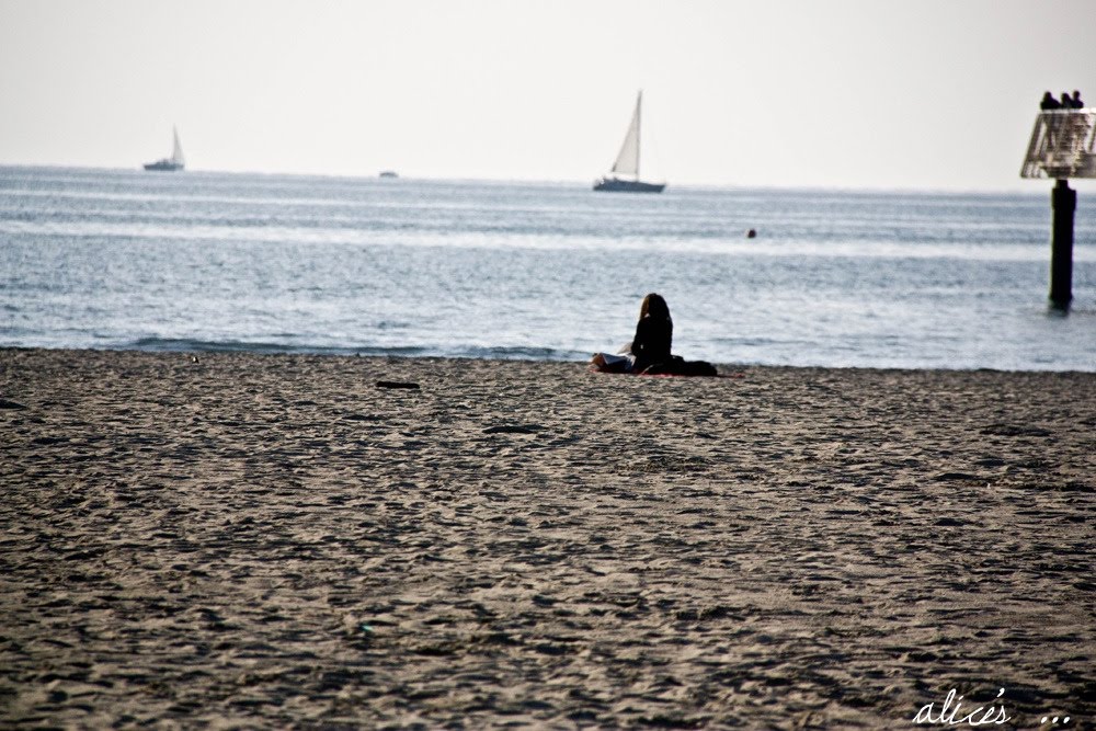 [IMG_2251bis.jpg]