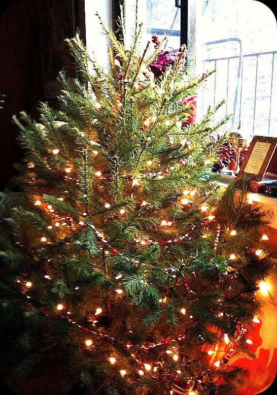 [tree.jpg]