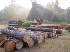 Nov 05 Pine Logs