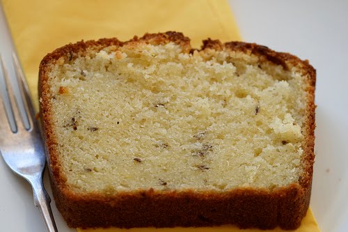 [CarawayCakeNAMINAMI.jpg]