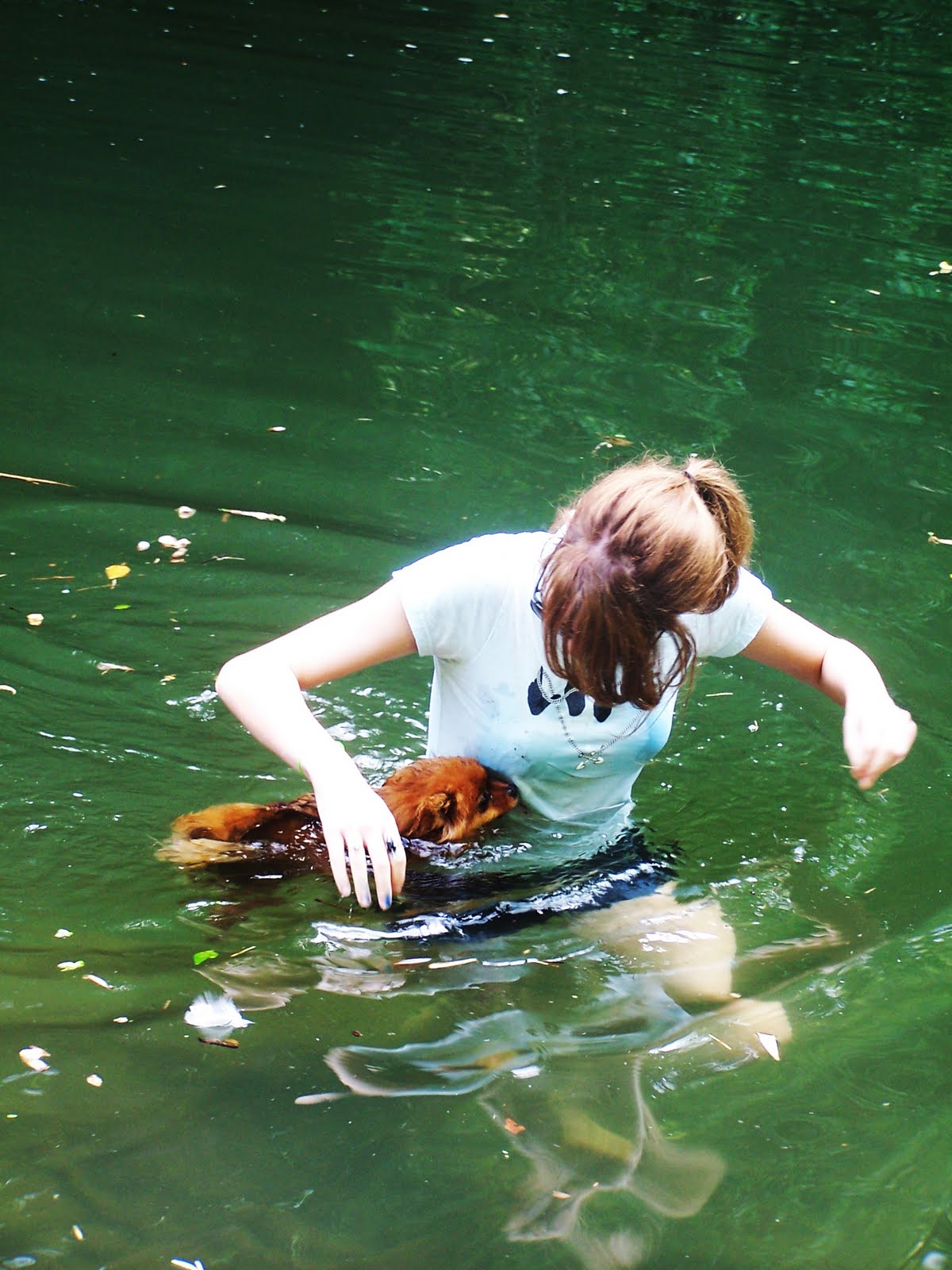Baptism in the Devil's Pool