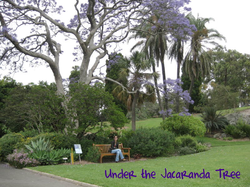 [day7c-PurpleTree.jpg]