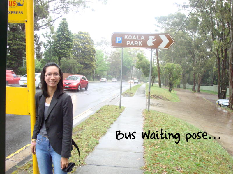 [day3f-busstop.JPG]