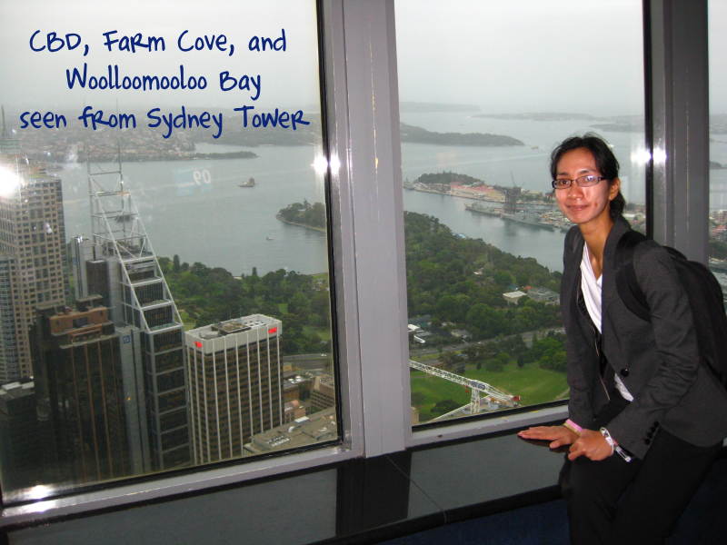 [day2j-SydneyTower2.jpg]