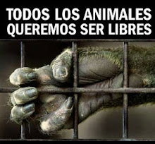 TODOS LOS ANIMALES