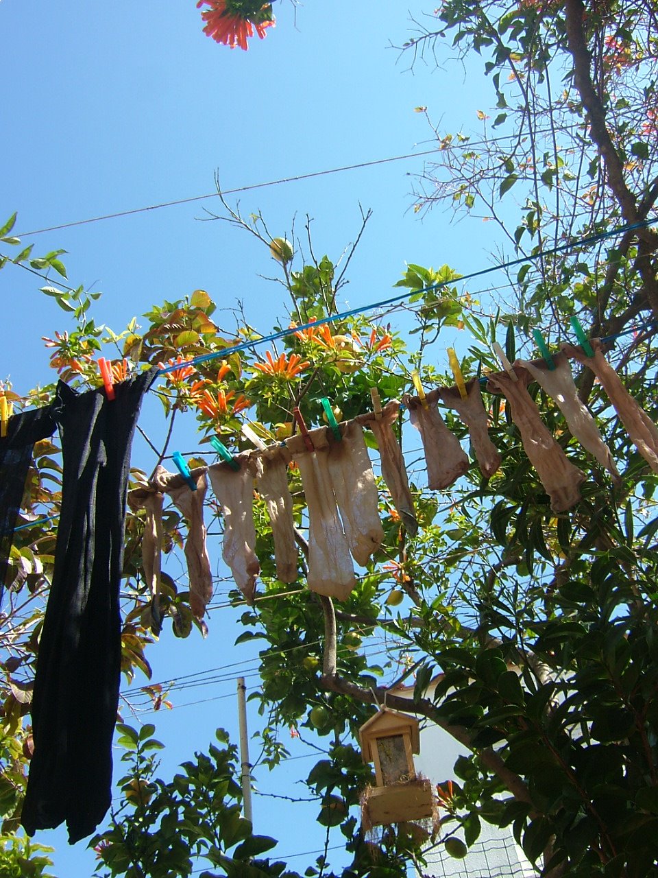 [estendal+de+meias+09+010.jpg]