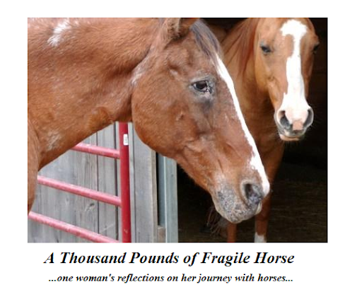 A Thousand Pounds of Fragile Horse
