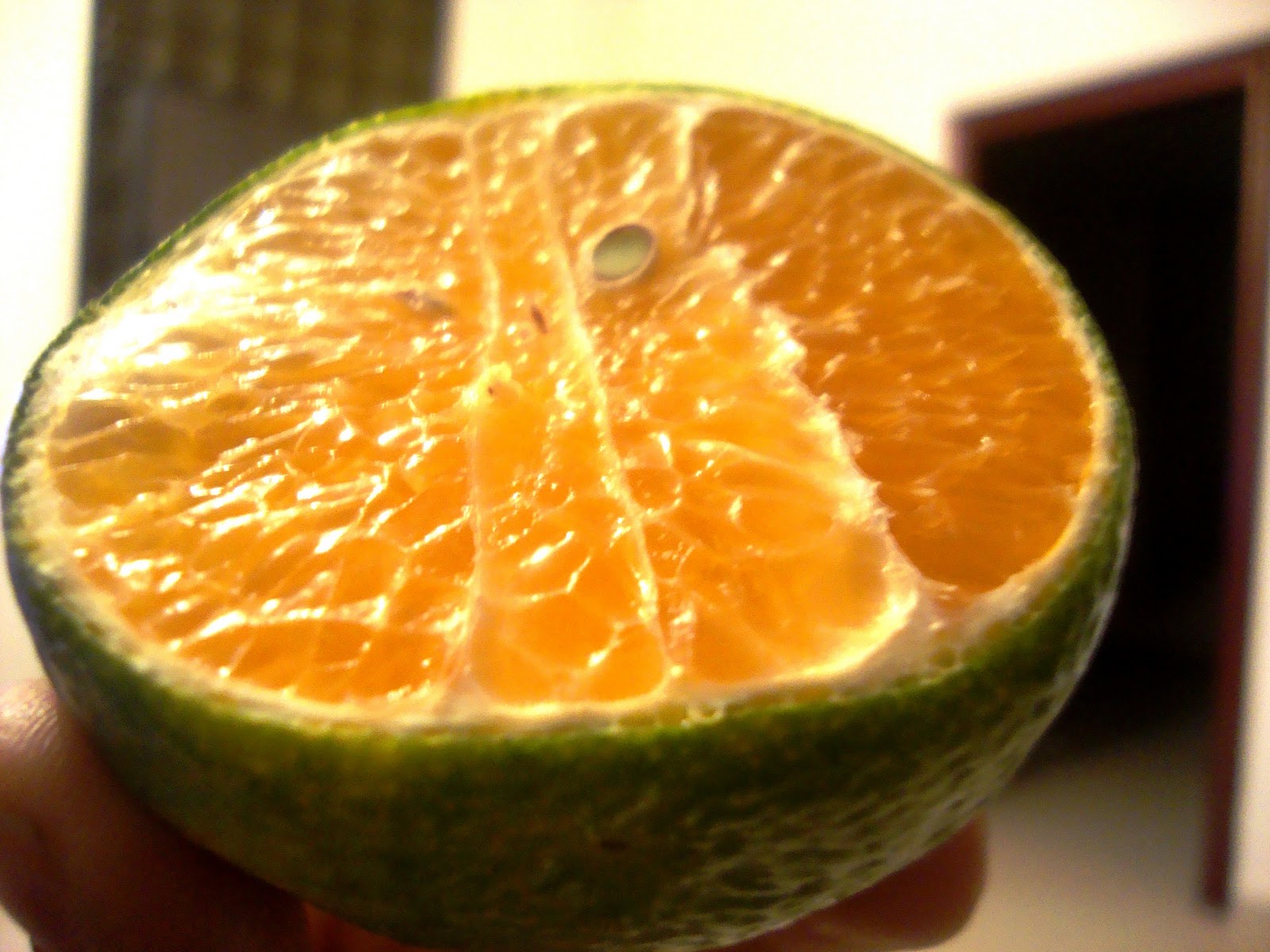 حياتي من فلسطين i cut open a lime and found an orange orange inside