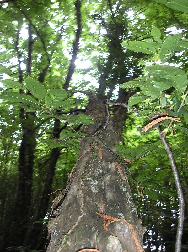 [P8030053.JPG]