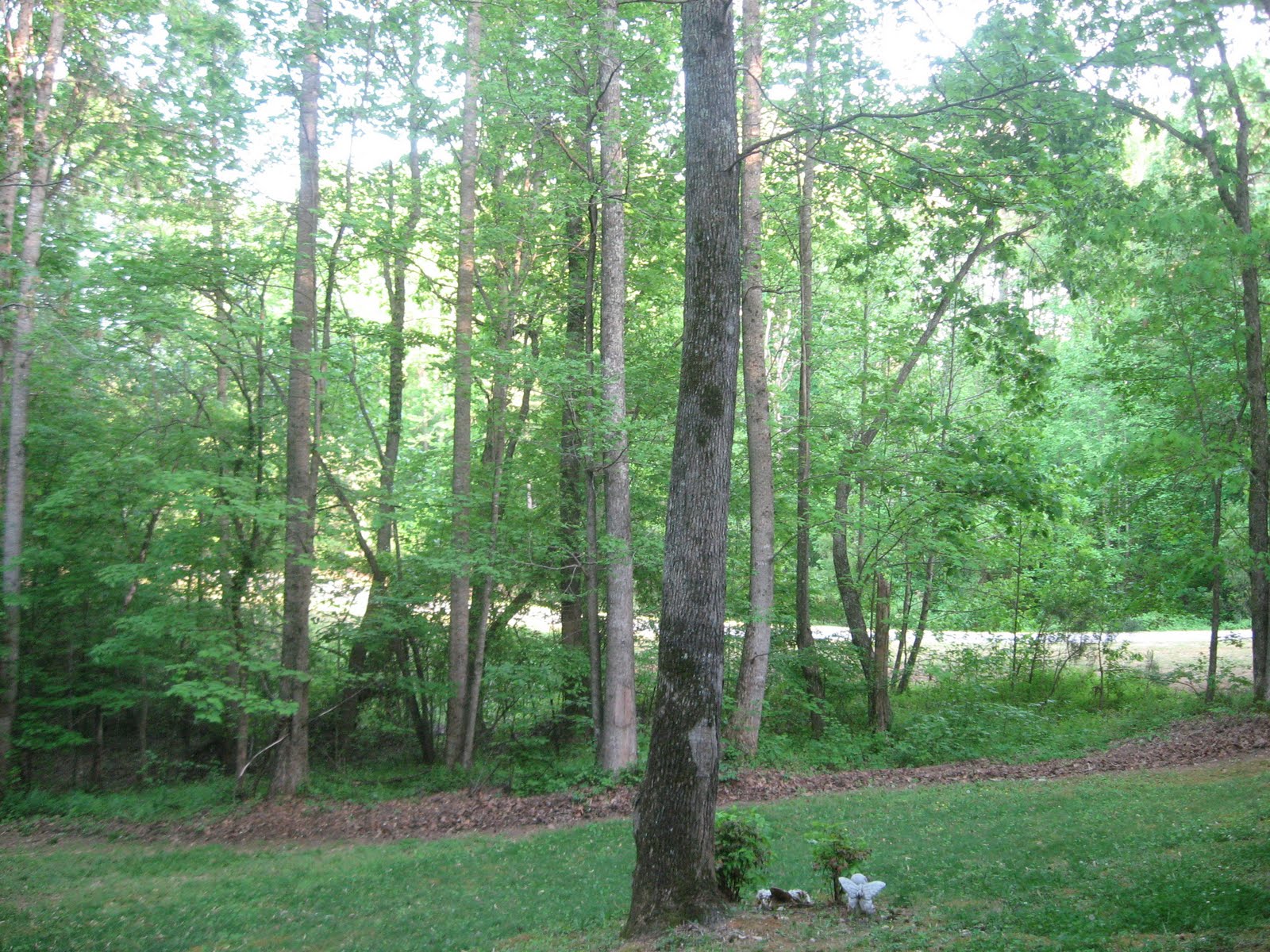 Clayton, North Carolina Real Estate Blog. Clayton NC Homes For Sale