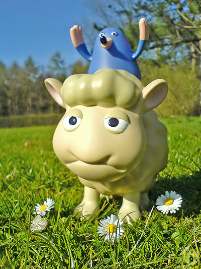 [seamoursheep02.jpg]