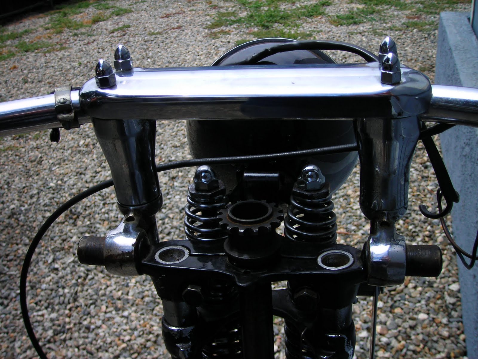 knucklehead springer