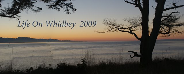Life on Whidbey