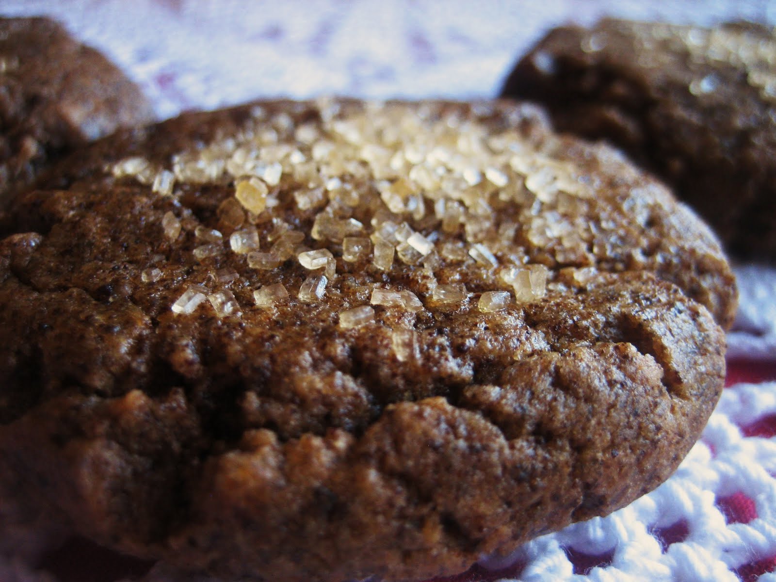Chef Tess Bakeresse Gingerbread Mix