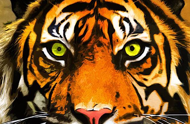 [harimau-716906.jpg]