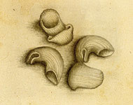 Group News Blog: Basta Pasta