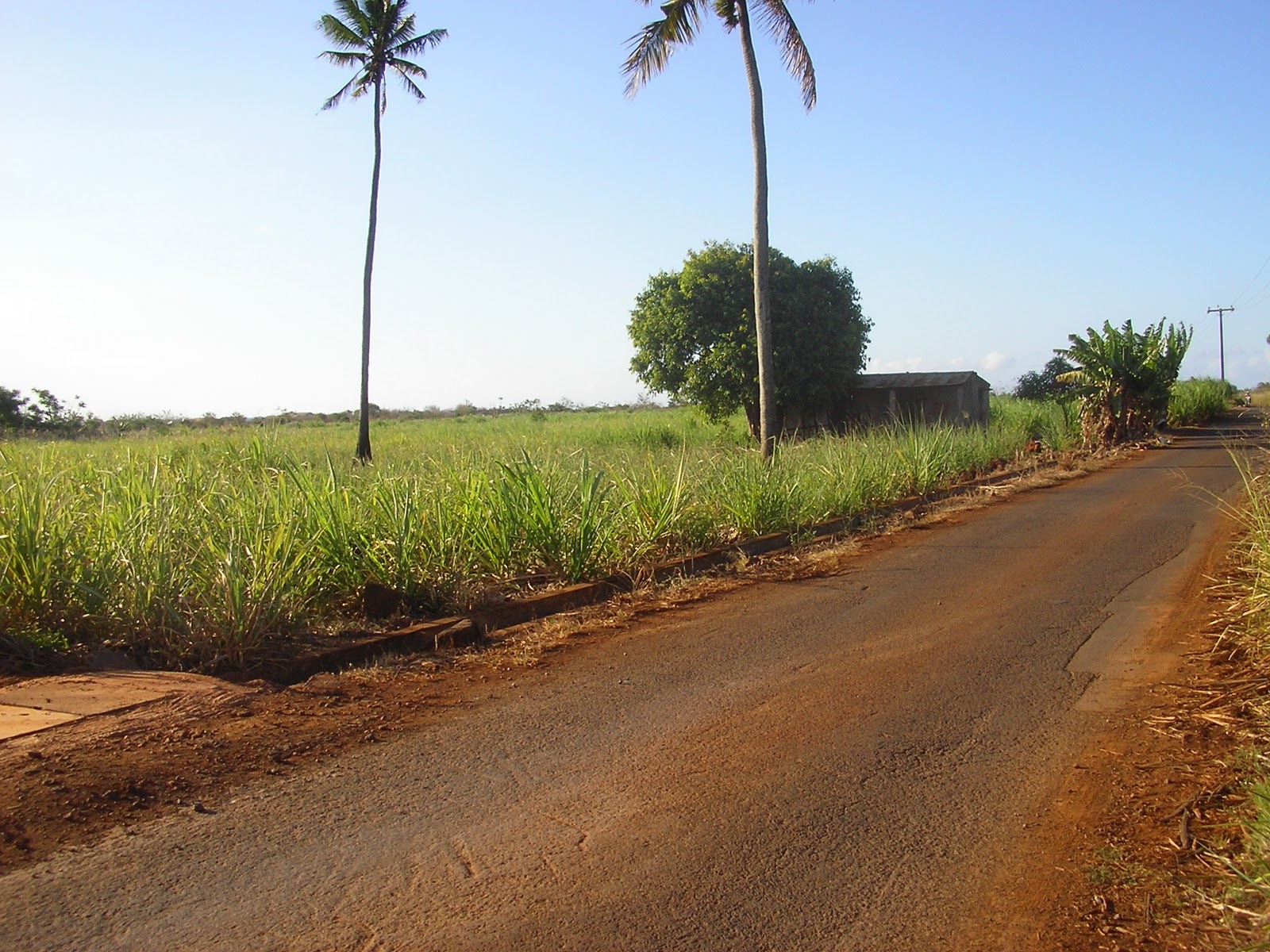 Land for Sale in Balaclava, Mauritius