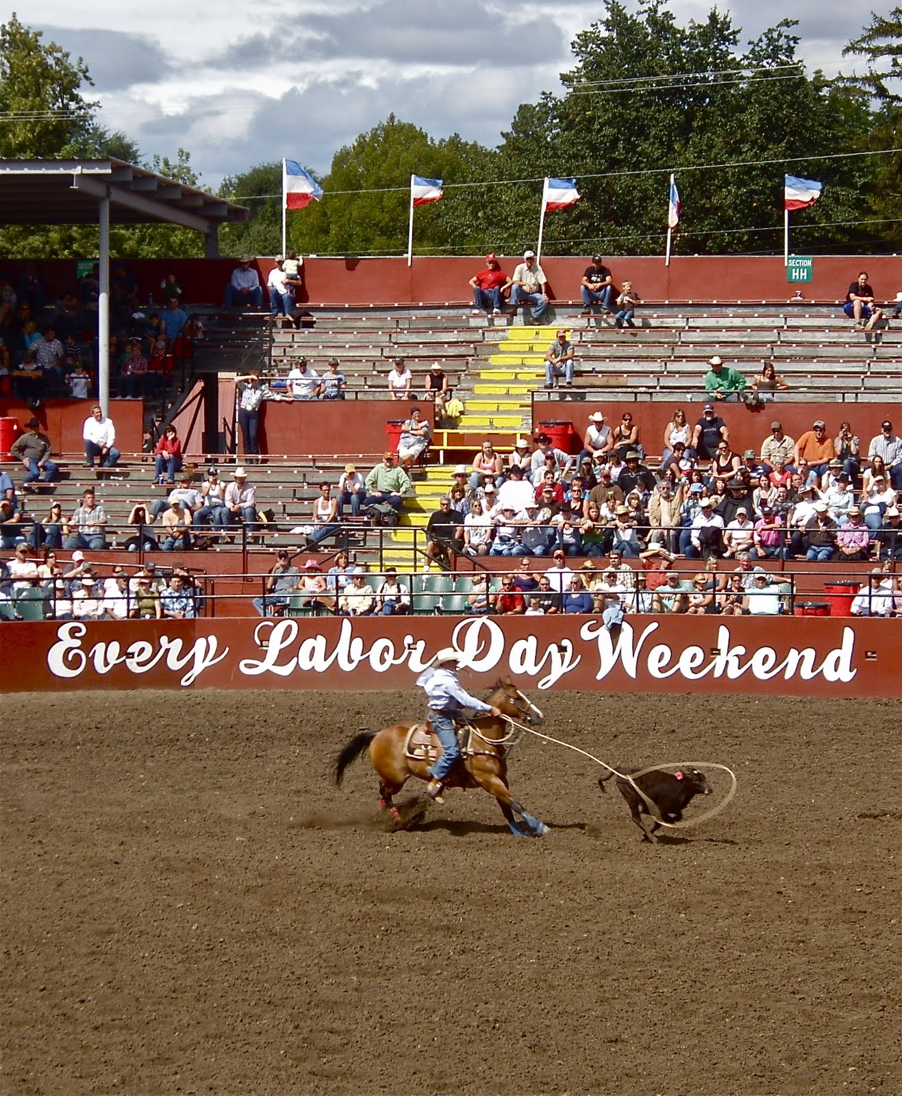 ellensburg-today-calf-roping-at-the-ellensburg-rodeo
