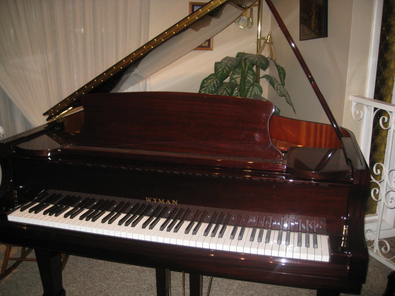 AZ PIANO REVIEWS: Digital KEYBOARD vs Digital PIANO - REVIEW