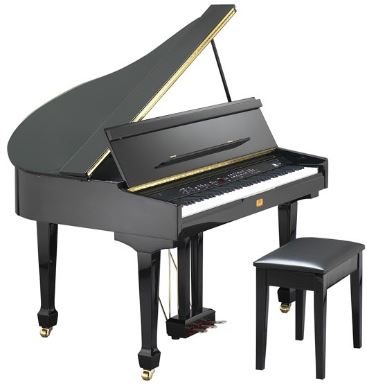 REVIEW Williams WGB Digital Grand Piano NOT good