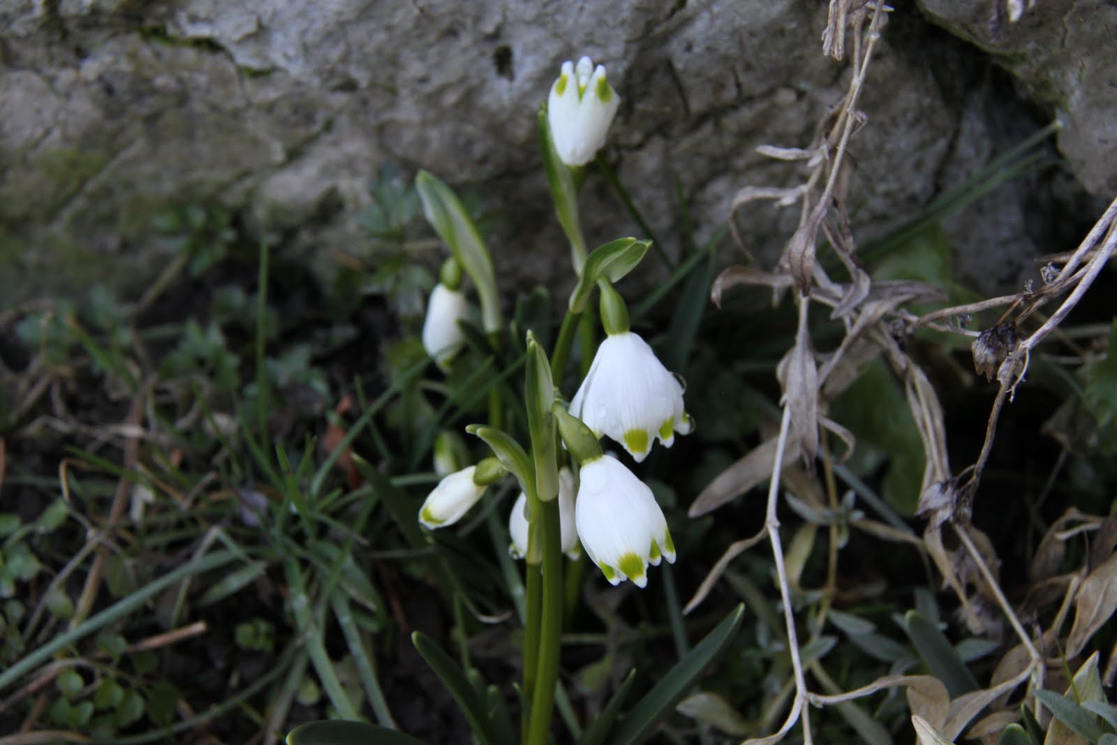 [IMG_9183.JPG]