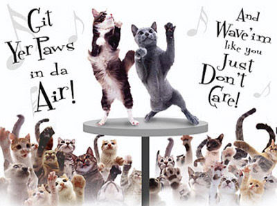 cat-party%3Ddancing-cats.jpg