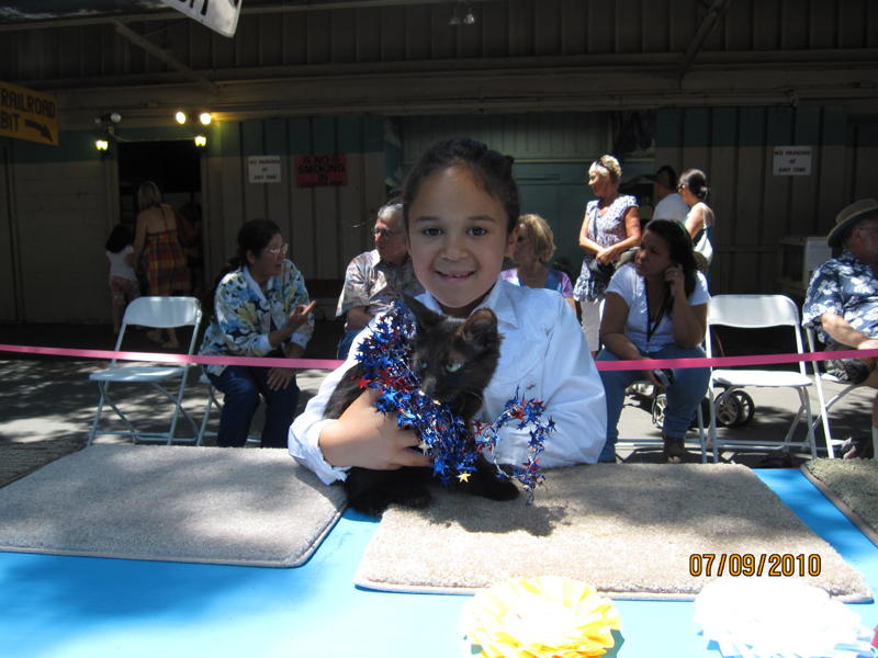 Northern California Angora Guild Cat Show At Alameda Fair