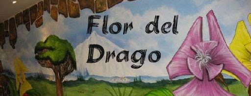 Flor Del Drago
